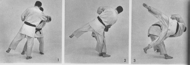 kuzushi-tsukuri-kake-en-taiotoshi